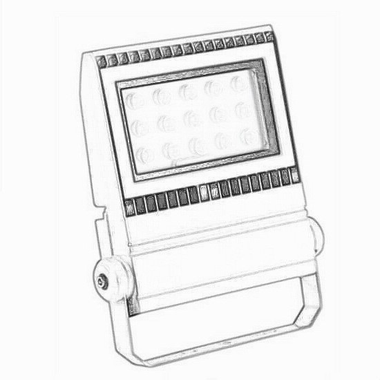 LED Flood Light